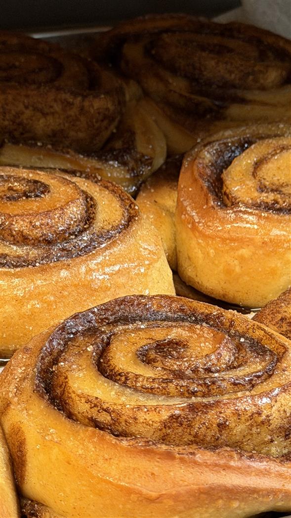 Kanelsnegl